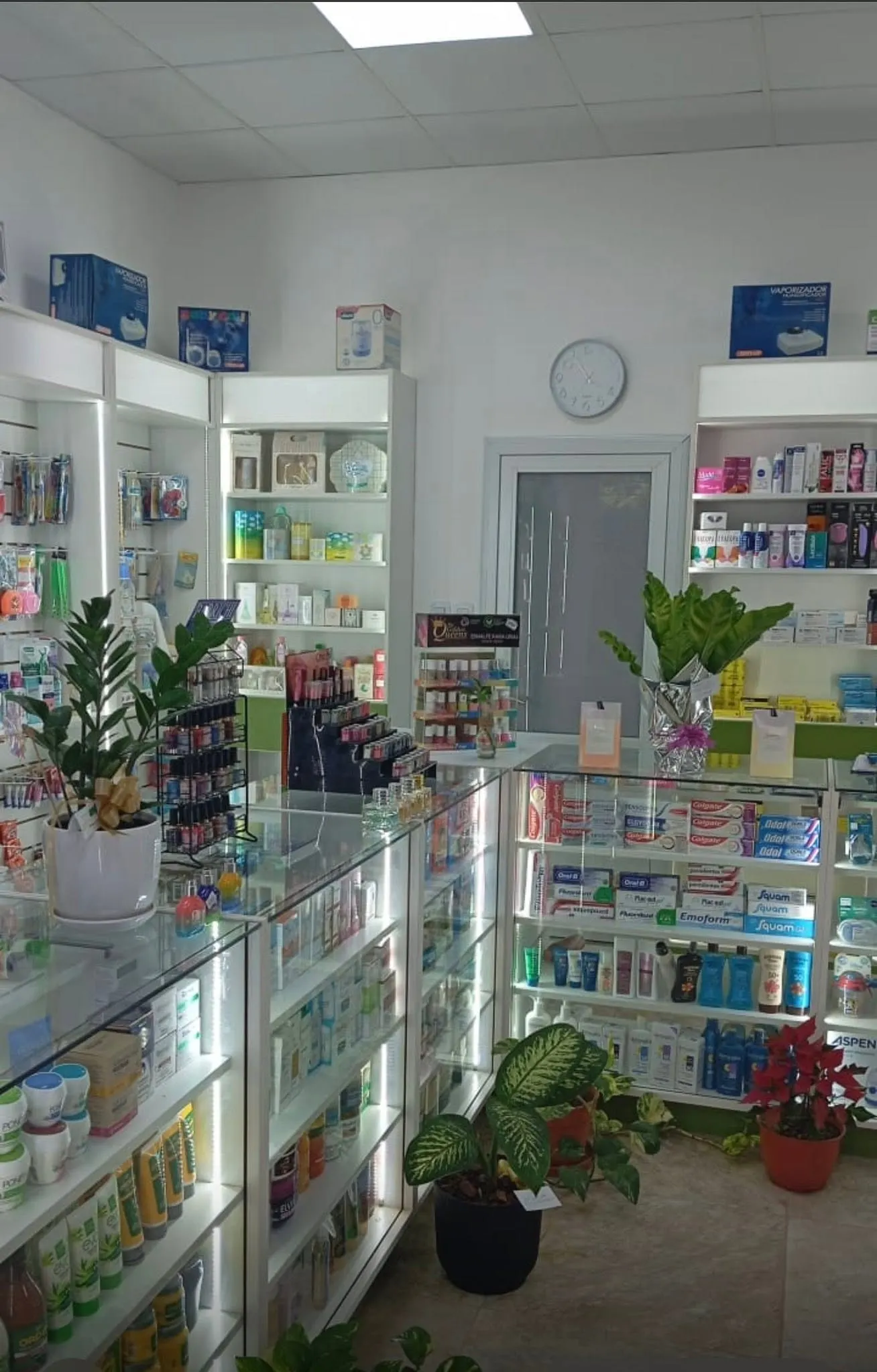 Sector de perfumería y cuidado personal con mostrador de vidrio y plantas decorativas.